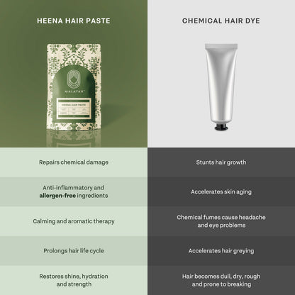 Henna Hair Paste